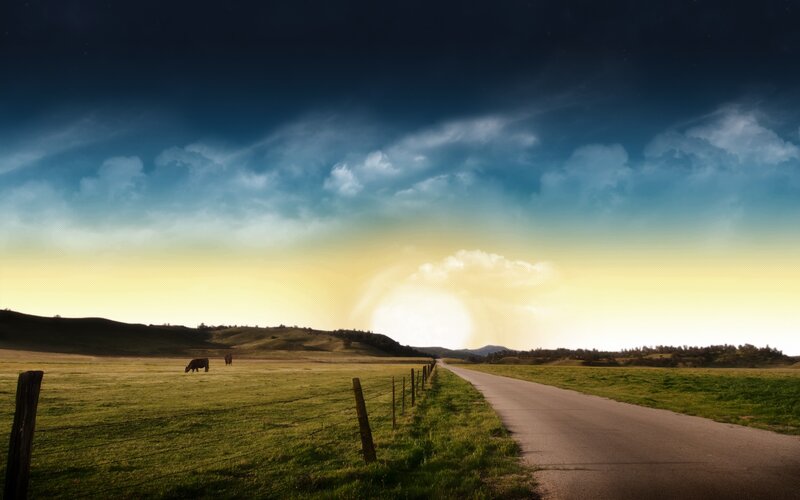 Cows in a Field — Green, Dramatic, Sunset, Photograph, Road, Hills