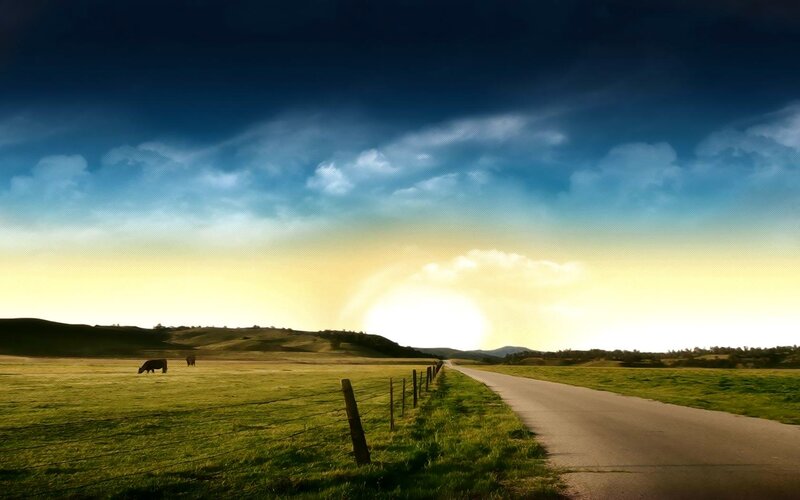 Cows in a Field — Green, Serene, Sunset