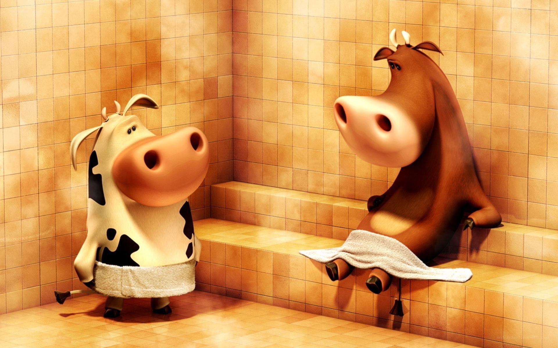 Cows in a steam room