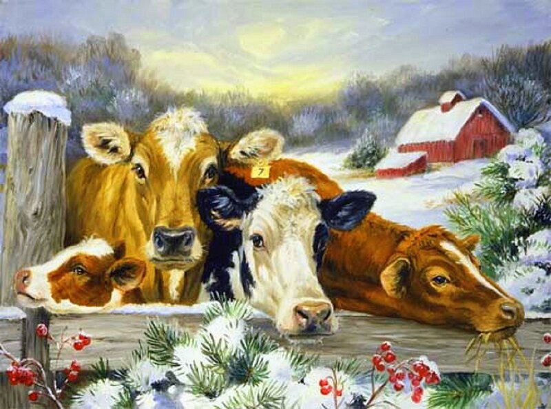 Cows in Winter Scene