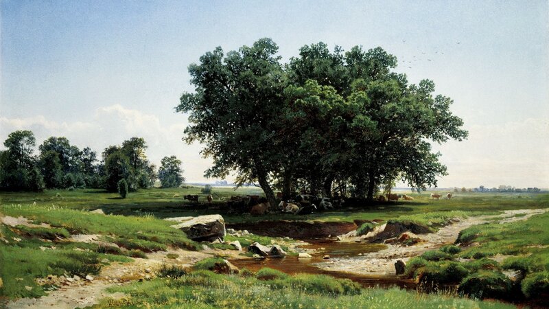 Cows under Trees