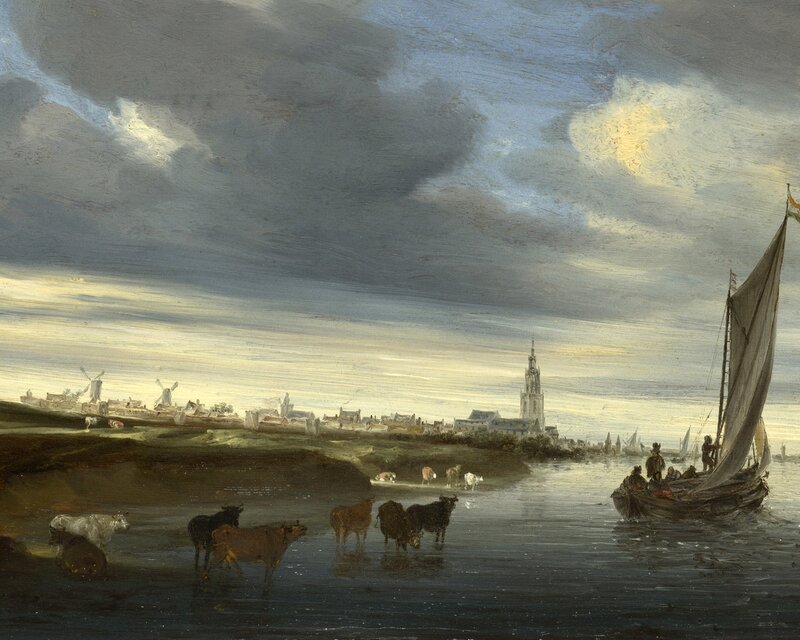 Cows Wading in River