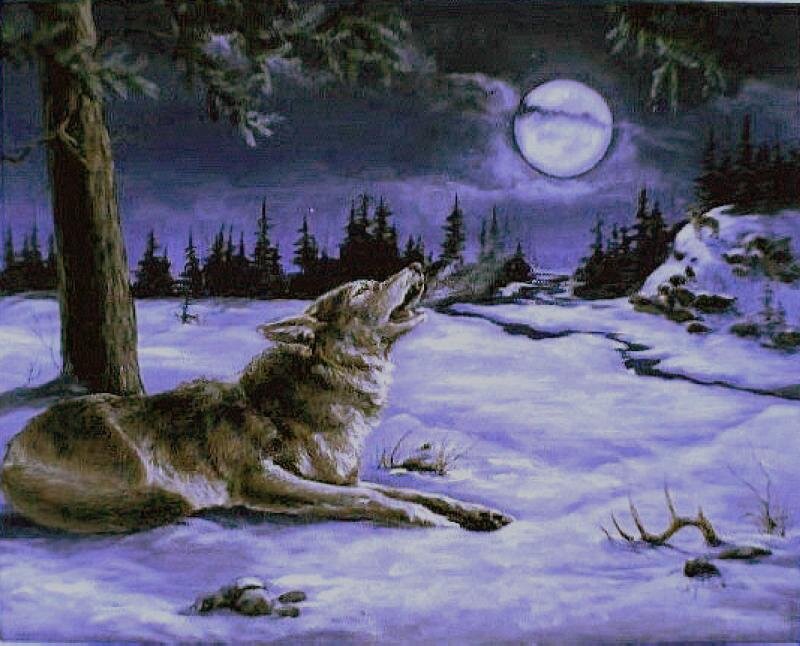 Coyote Howling at Moon — Purple