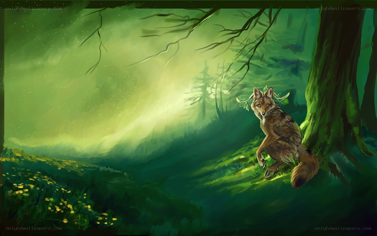 Coyote in a green forest