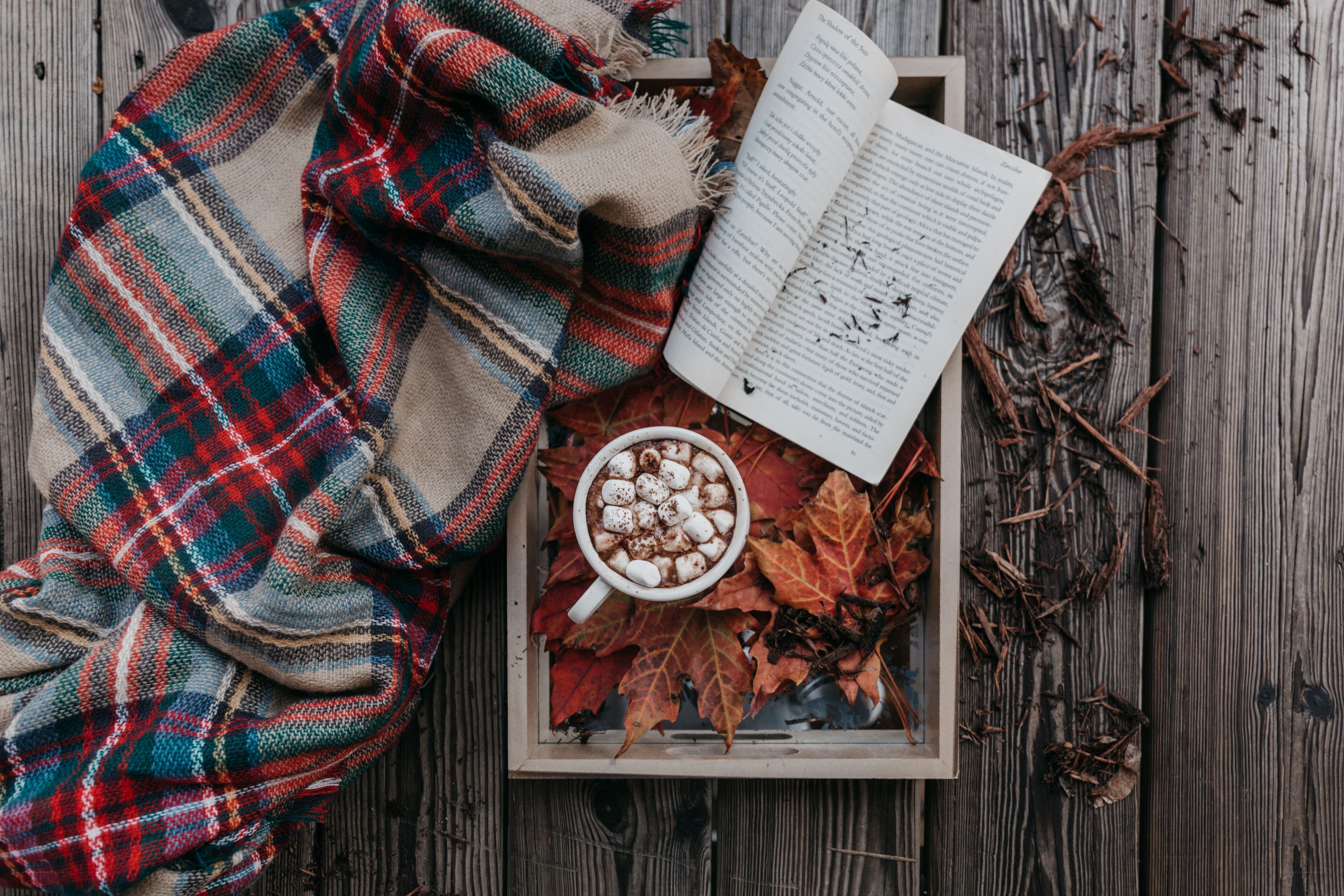 Cozy autumn reading nook