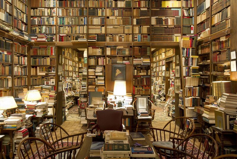 Cozy bookstore with bookshelves