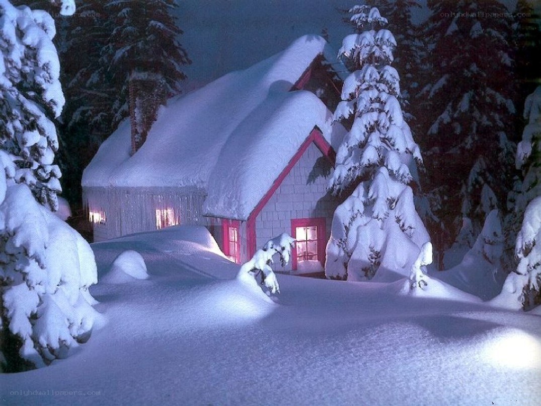 Cozy cabin in snowy forest