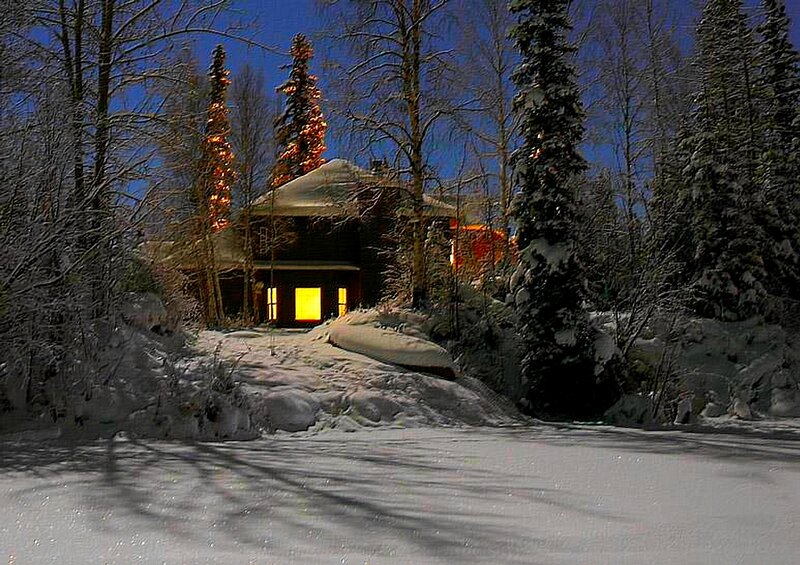 Cozy cabin in snowy forest