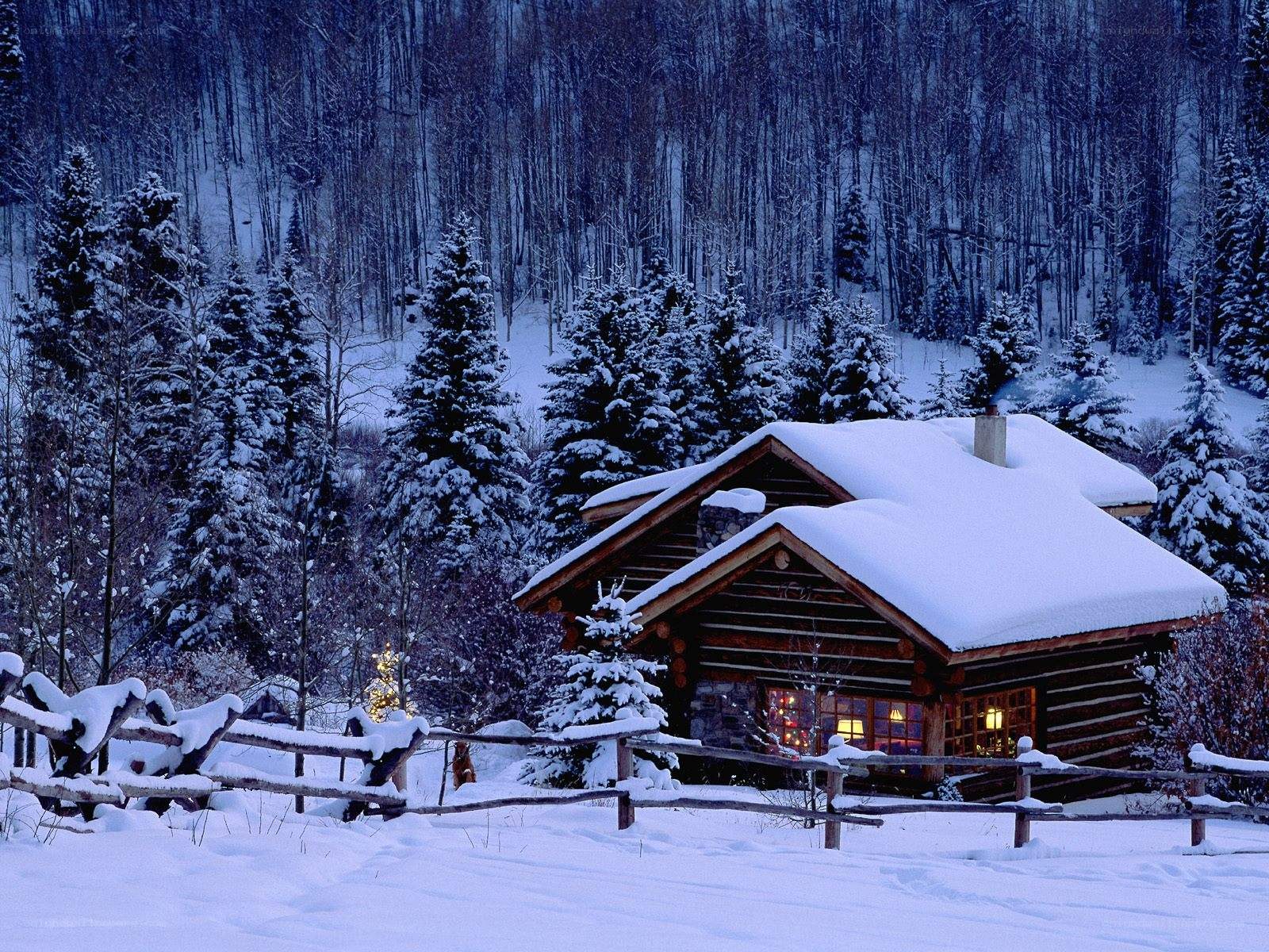Cozy cabin in snowy forest