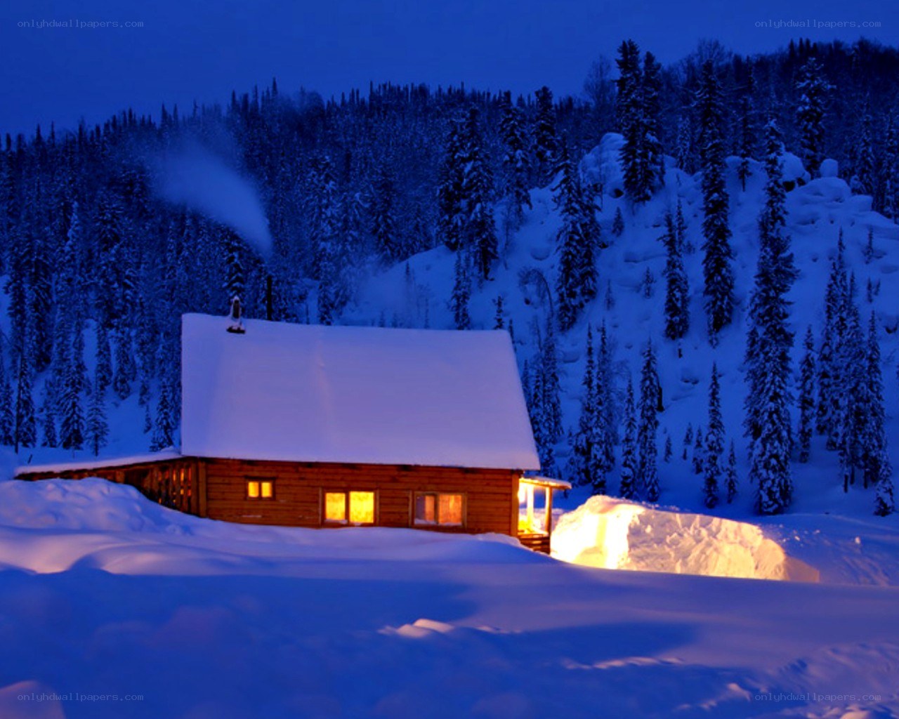 Cozy cabin in snowy forest