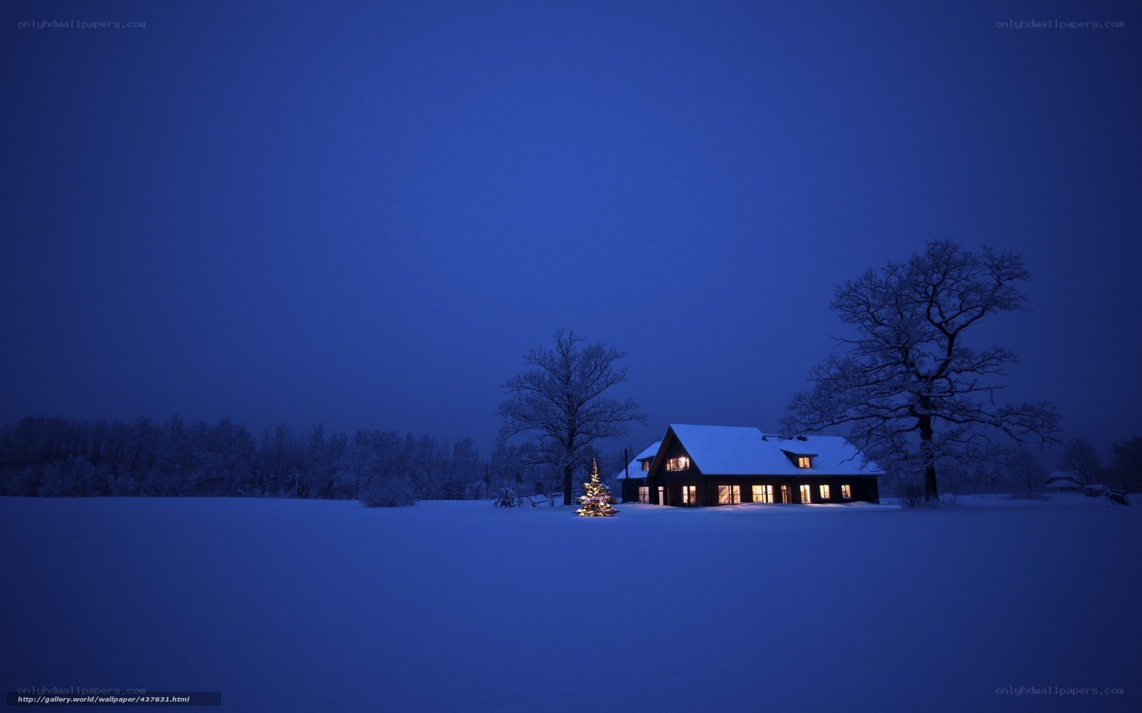 Cozy cabin in snowy night