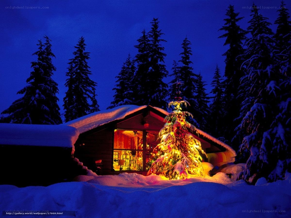 Cozy cabin in snowy night