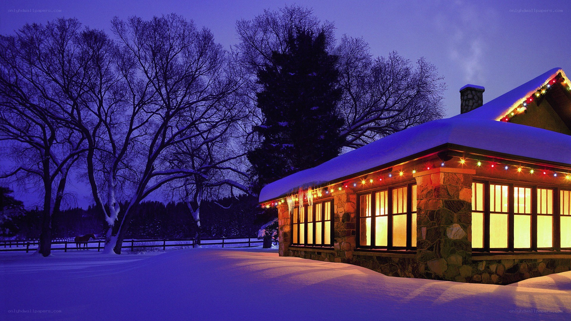 Cozy cabin in winter night