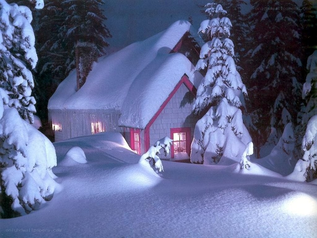 Cozy cabin in winter night