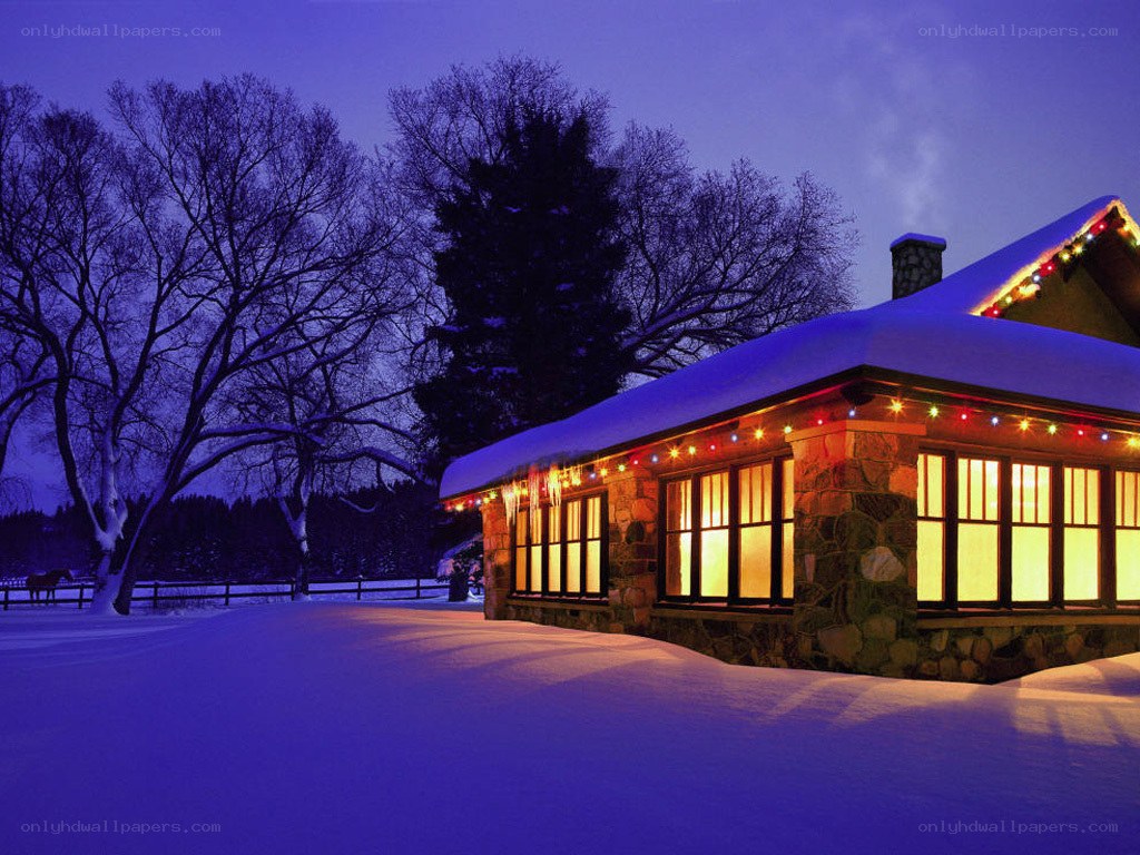 Cozy cabin in winter night