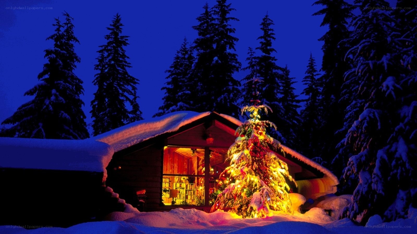 Cozy cabin with Christmas tree