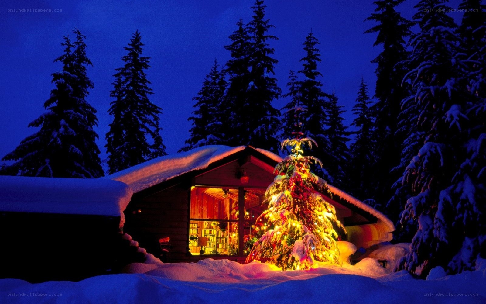 Cozy cabin with Christmas tree