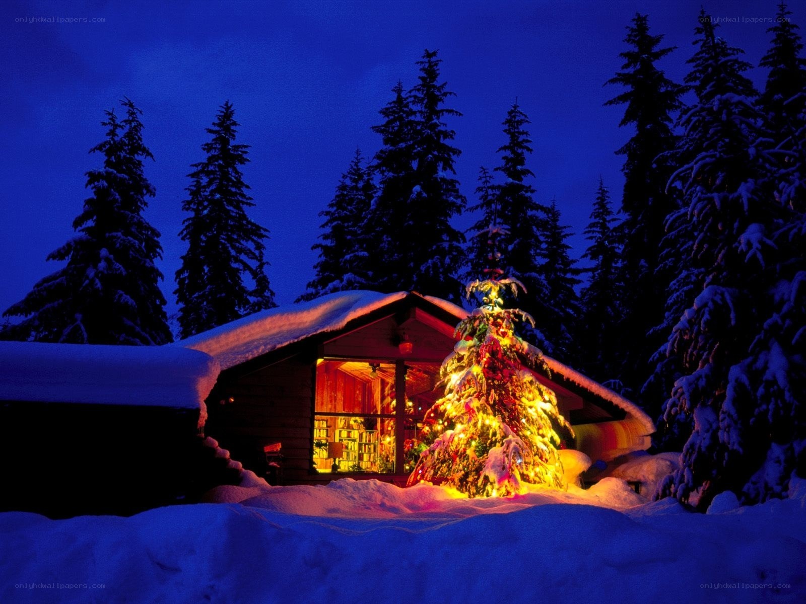 Cozy cabin with Christmas tree