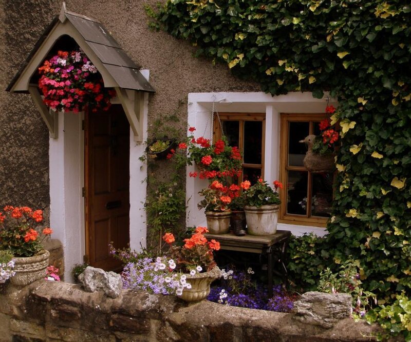 cozy cottage with flowers