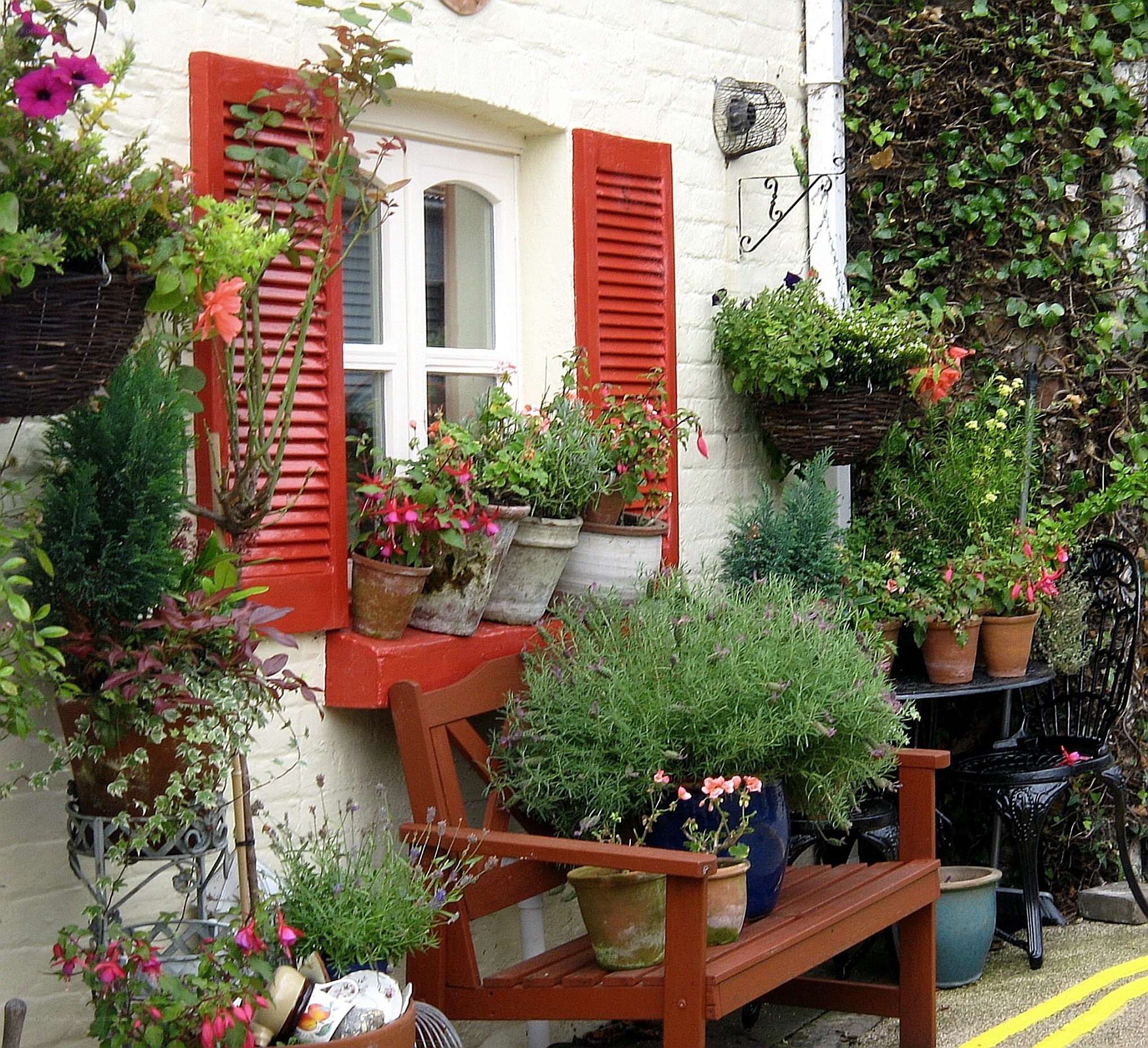 cozy garden with red shutters