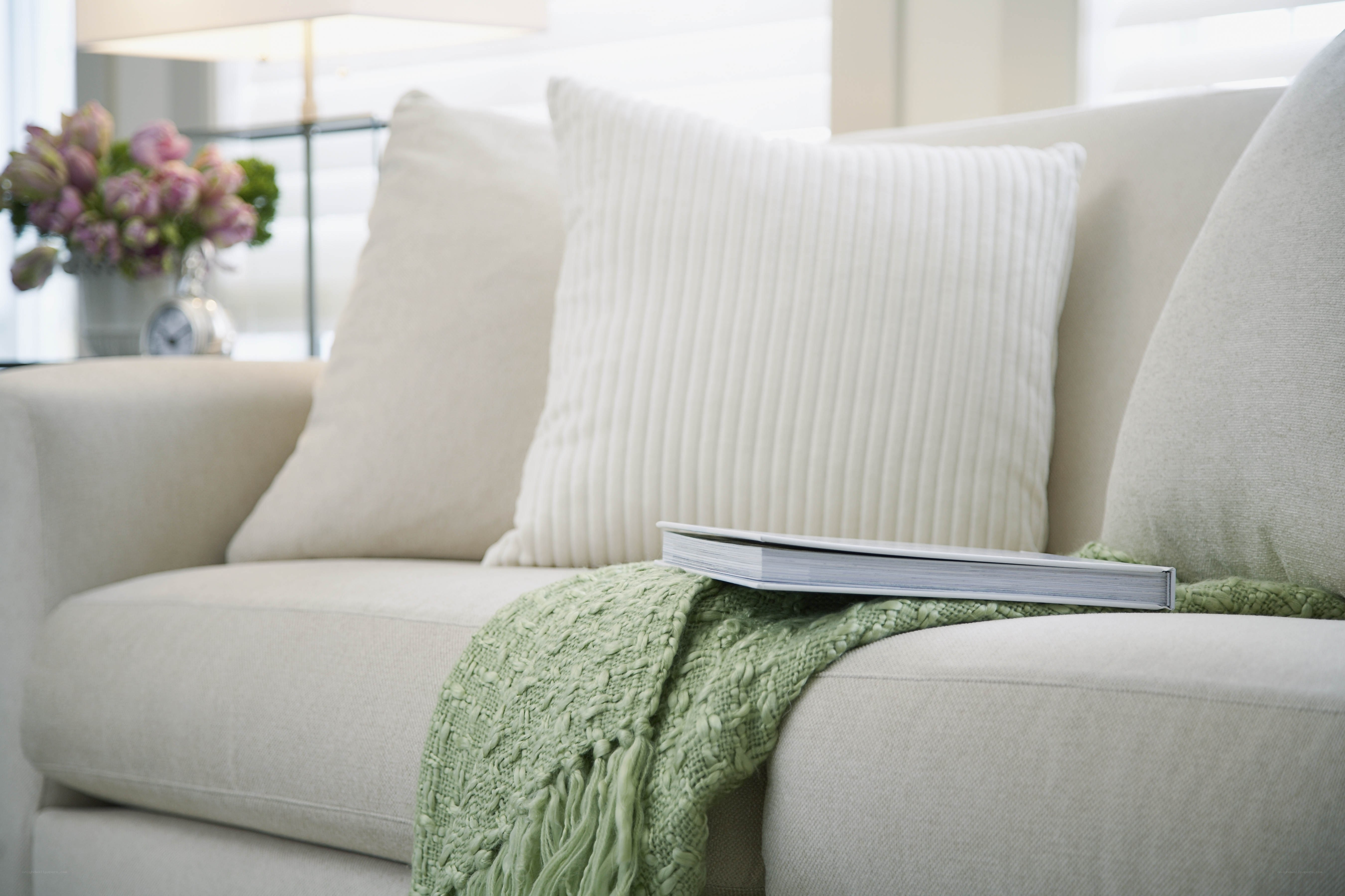 Cozy living room sofa scene