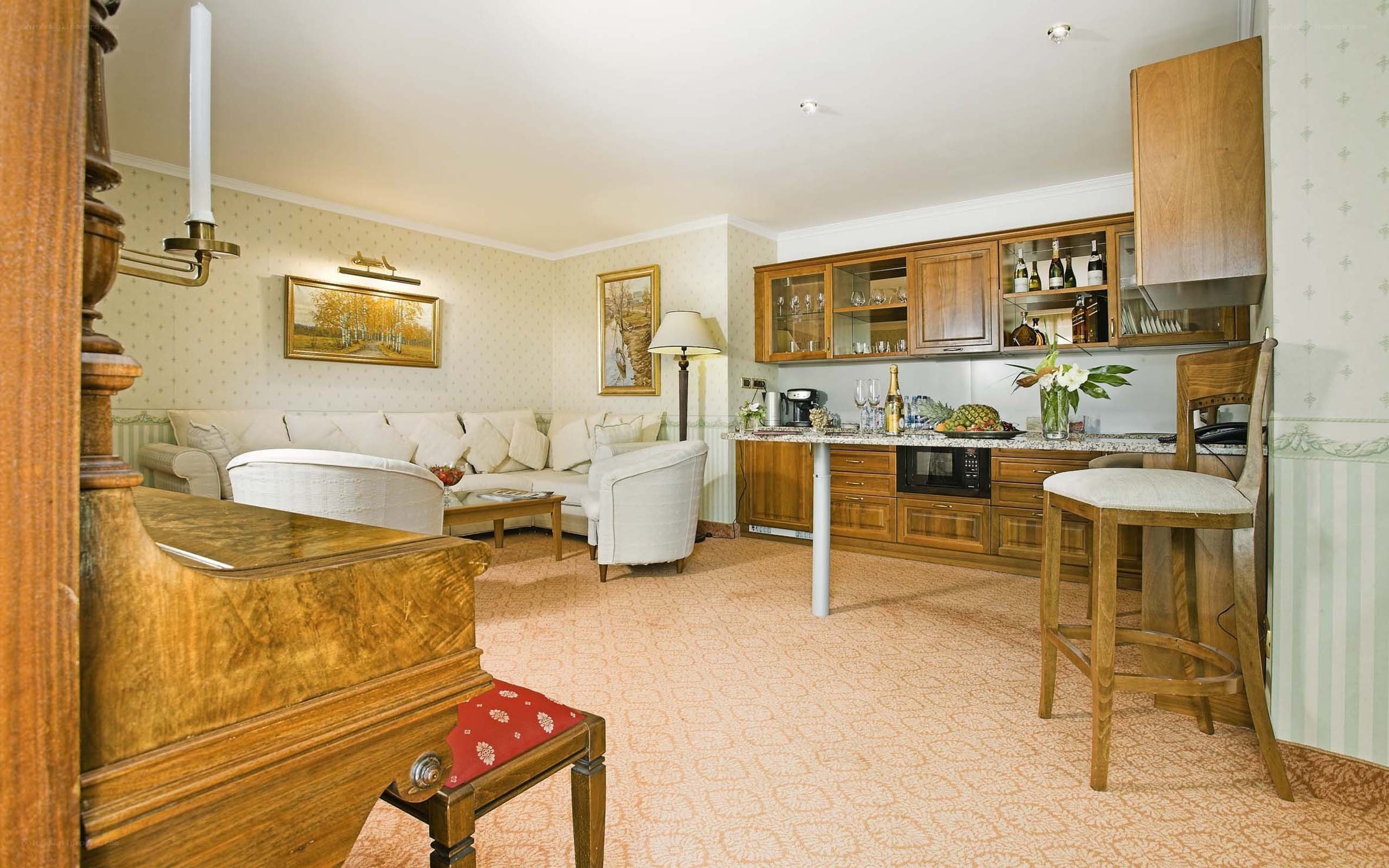 Cozy living room with kitchenette