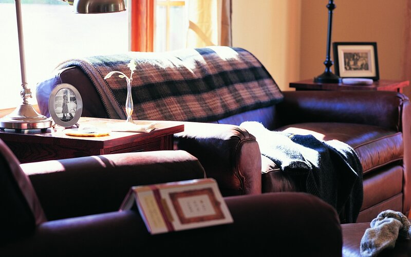 Cozy living room with leather furniture
