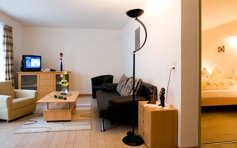 Cozy studio apartment living space