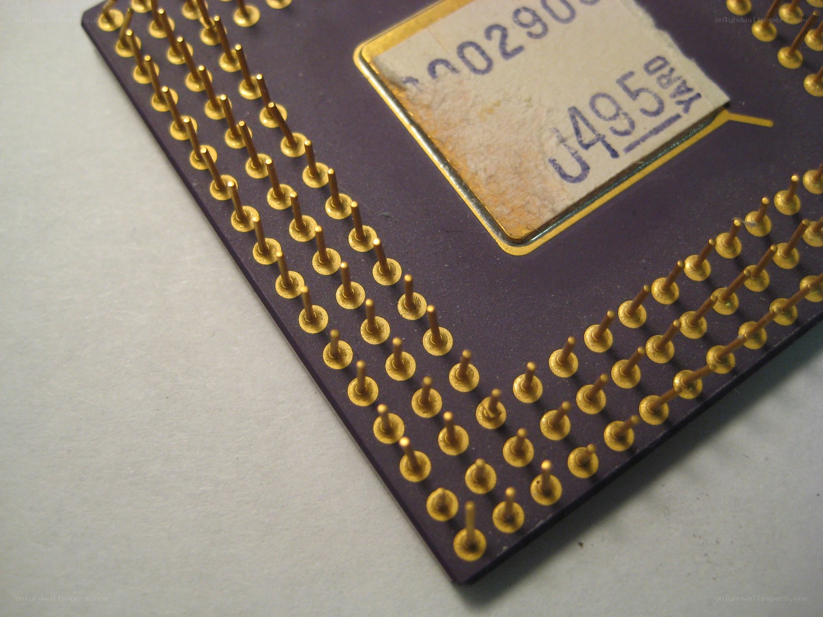 CPU with gold pins