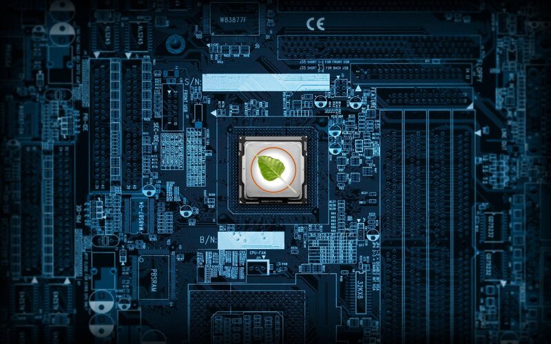 CPU with leaf symbol on motherboard