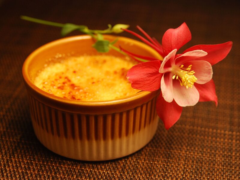 Crème Brûlée Dessert