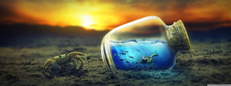 Crab and Bottle with Sea Life
