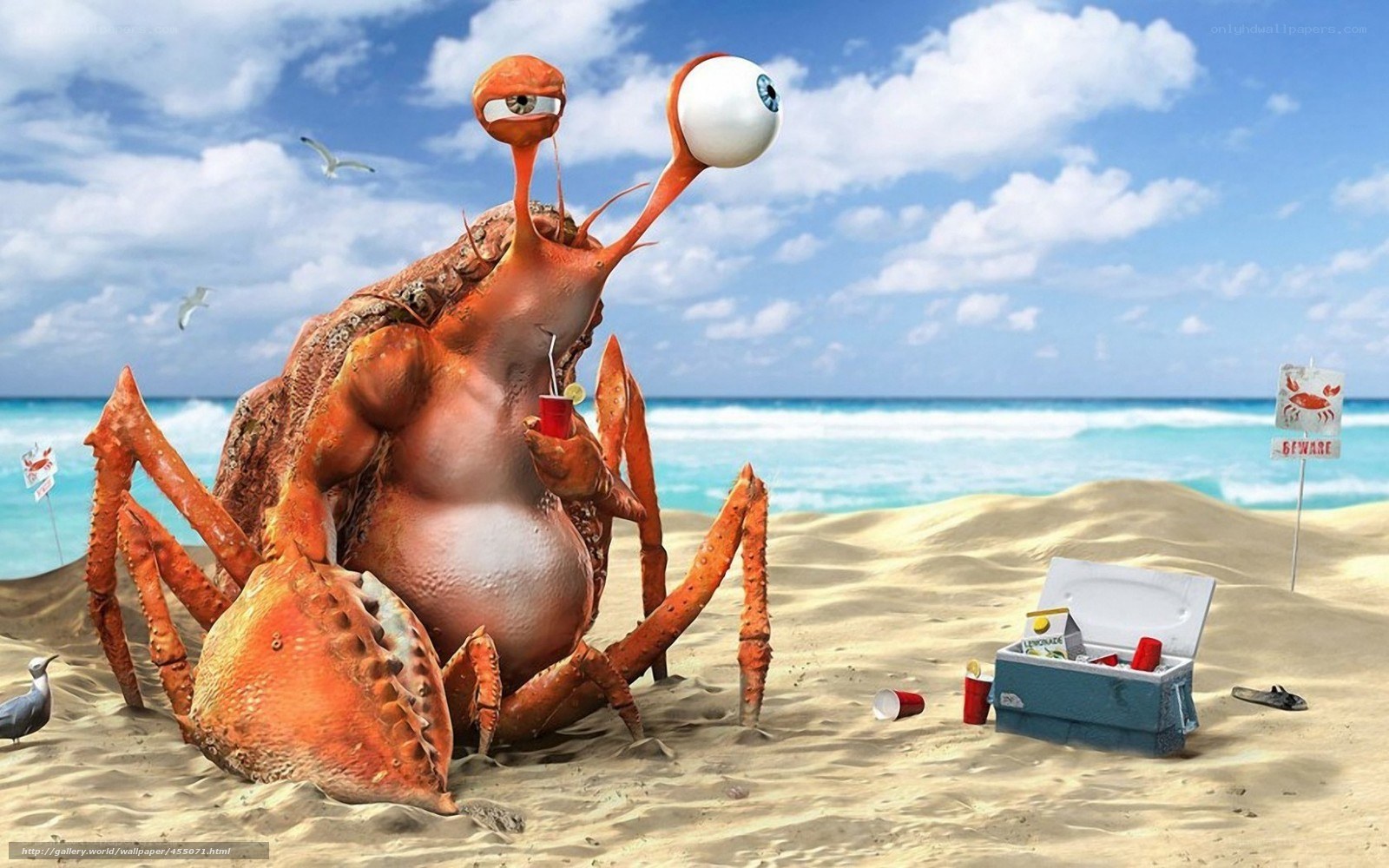 Crab at the beach