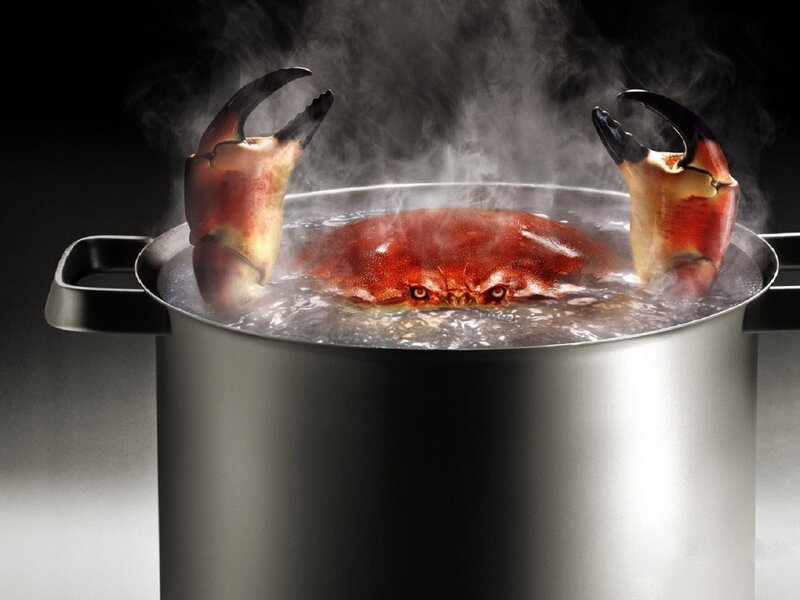 Crab boiling in a pot