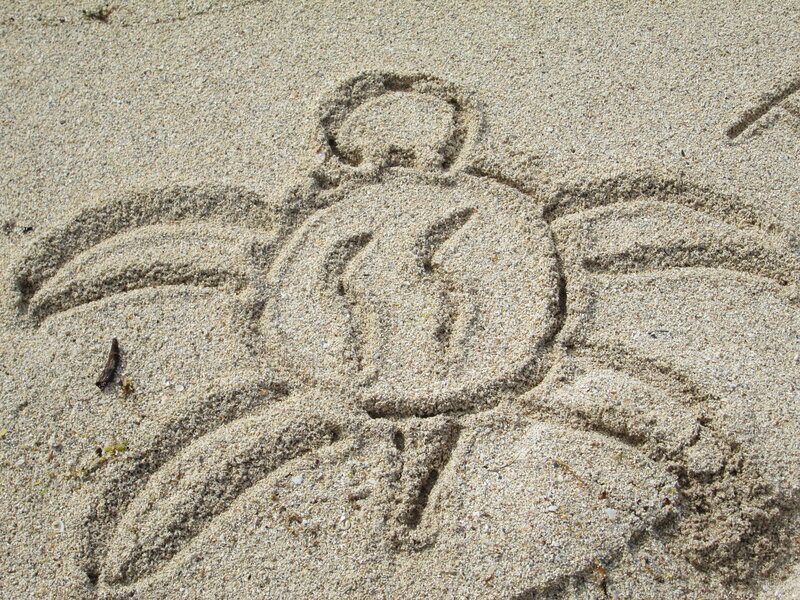 Crab Drawn in Sand