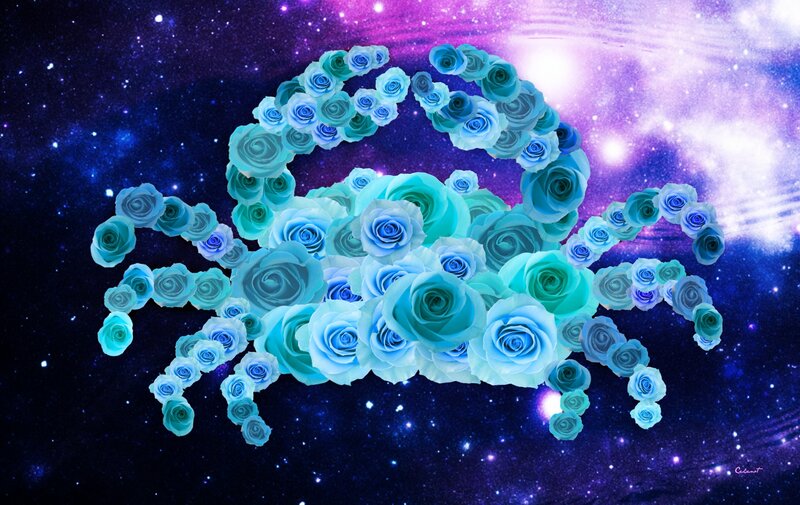Crab Made of Roses