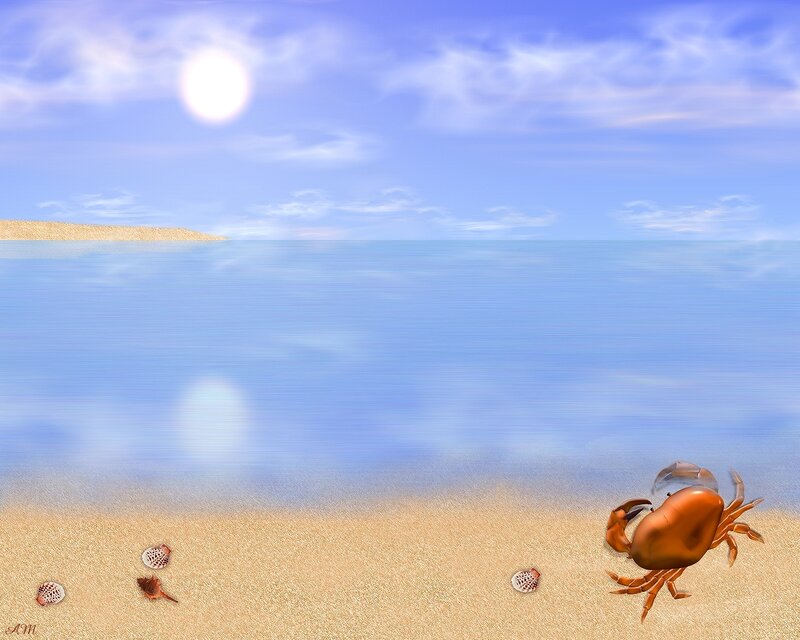 Crab on a sunny beach