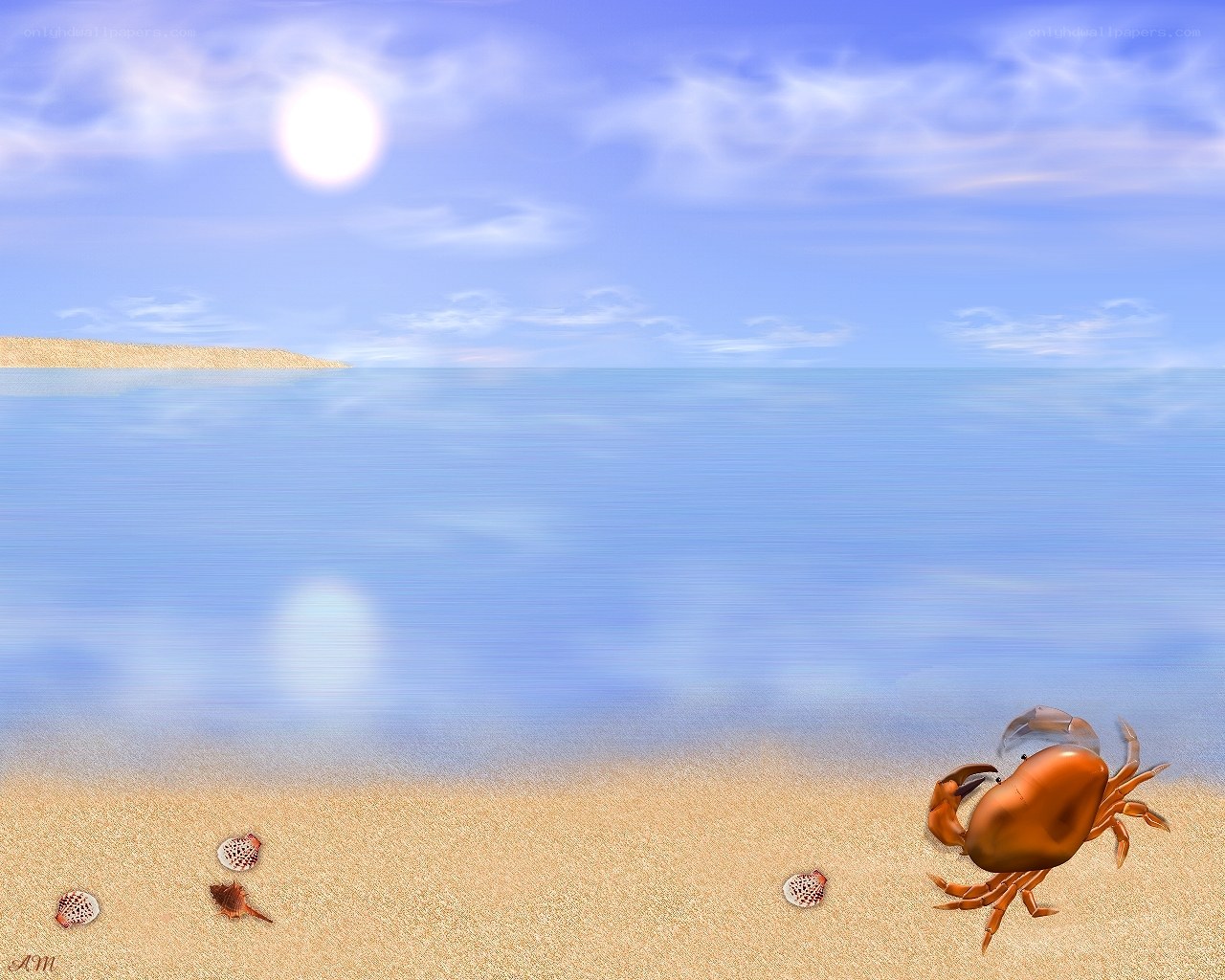 Crab on a sunny beach
