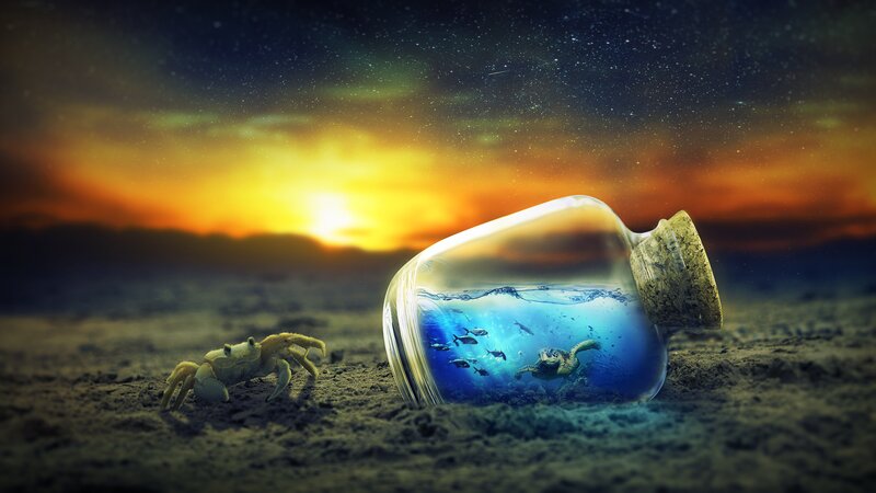 Crab on Beach with Bottle