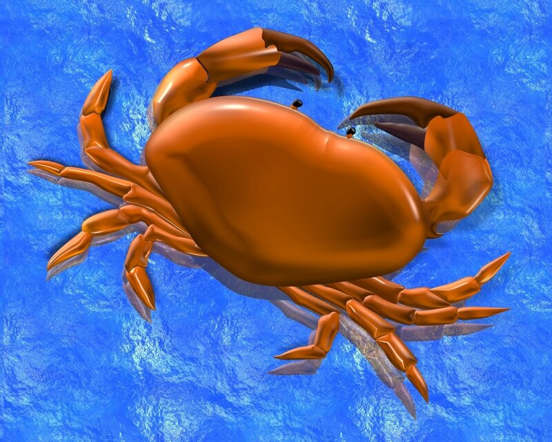 crab on blue background