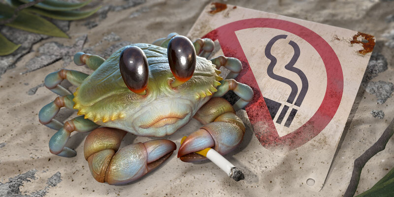 Crab Smoking Cigarette