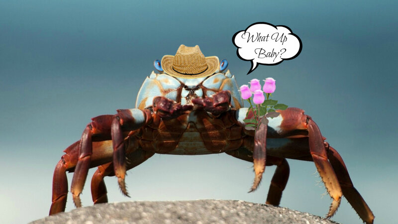 Crab Wearing Hat