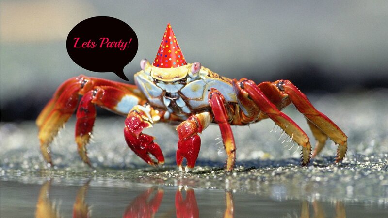 Crab Wearing Party Hat