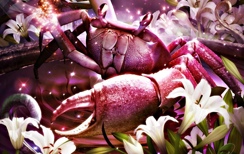Crab with White Lilies
