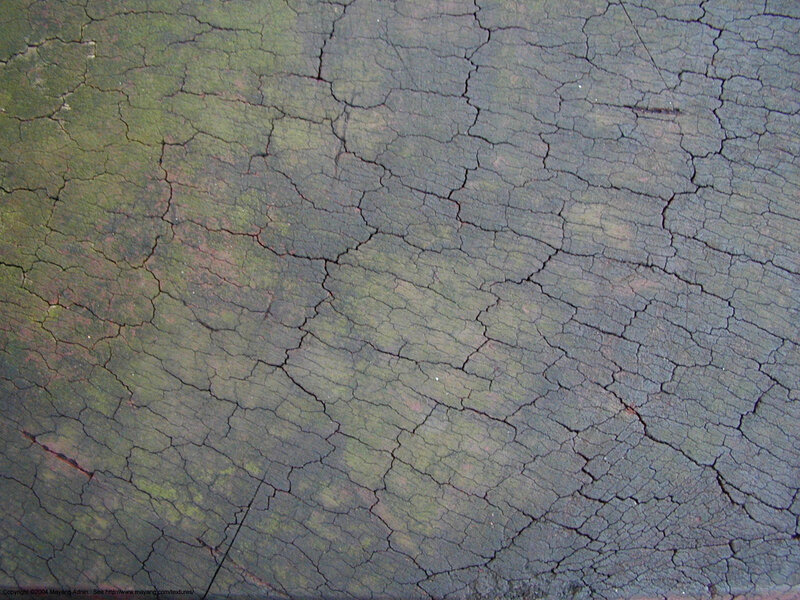 cracked and weathered wood surface