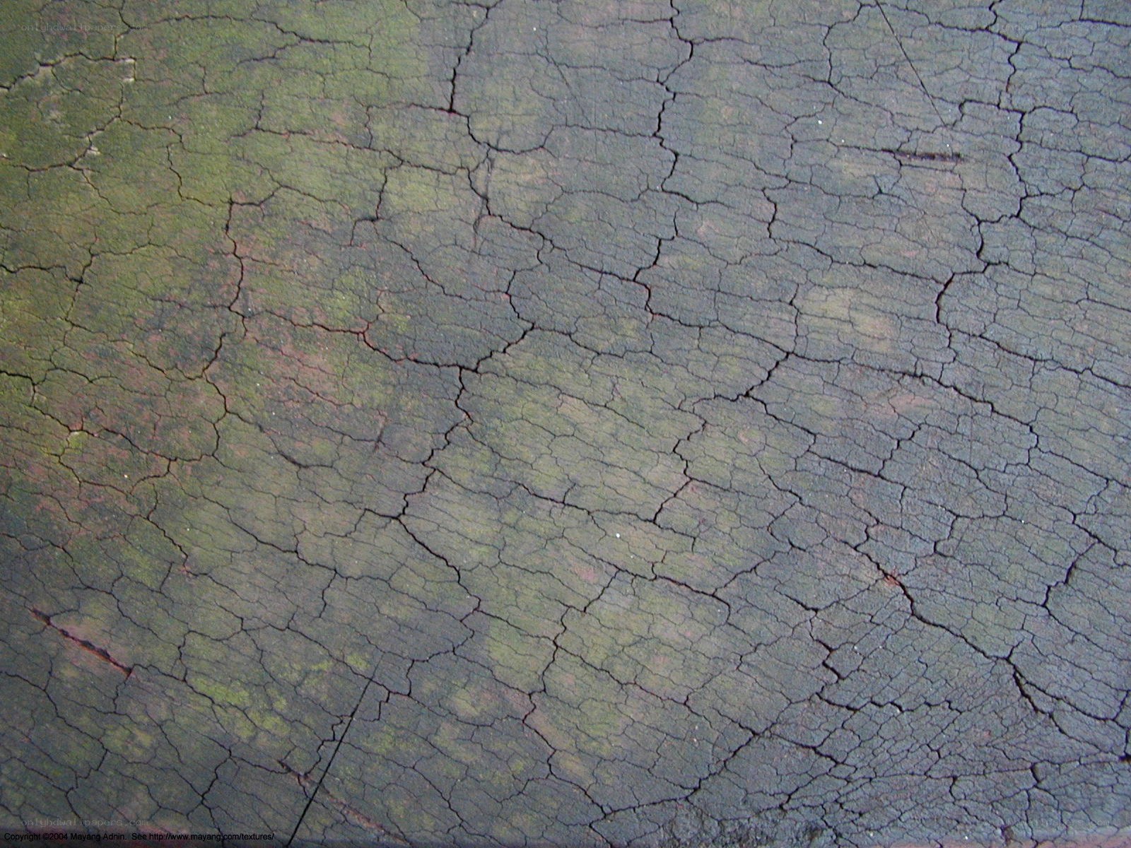 cracked and weathered wood surface