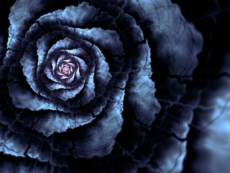 Cracked Blue Rose