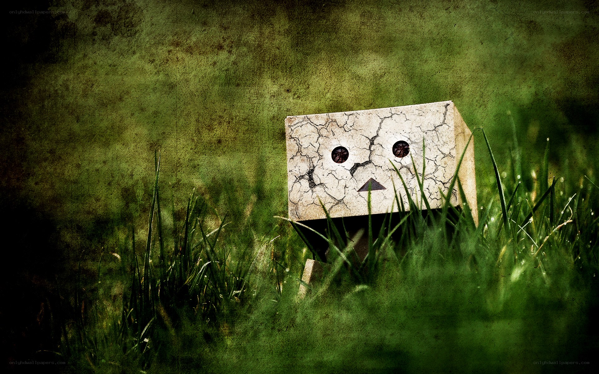 cracked box robot in grass