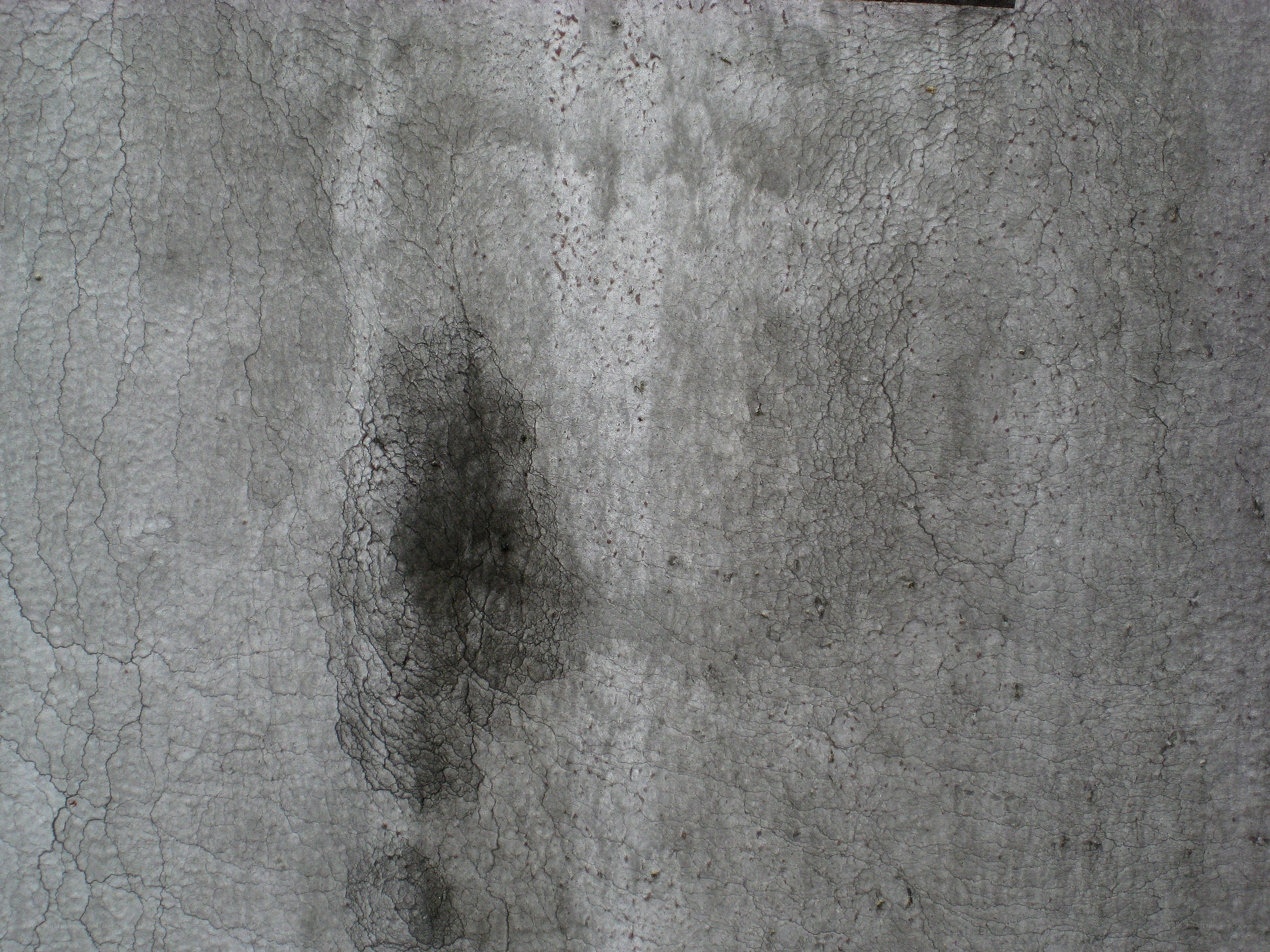 cracked concrete surface