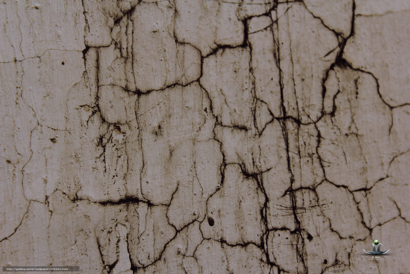 cracked concrete surface